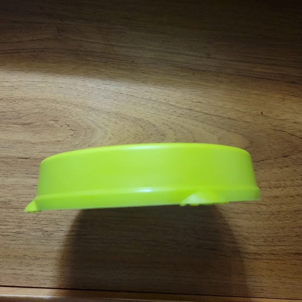 Slow feeder bowl for small cats in green